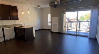 425 W WASHINGTON AVE – 411